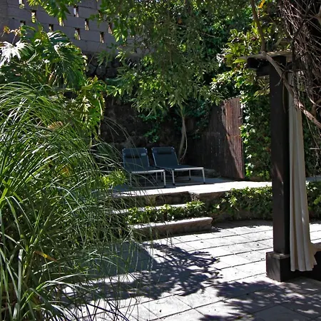 El Palomar, Secret Oasis In The North Of Tenerife بيت للعطل *
