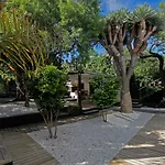 El Palomar, Secret Oasis In The North Of Tenerife
