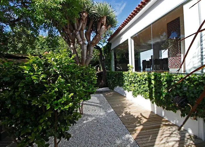 El Palomar, Secret Oasis In The North Of Tenerife