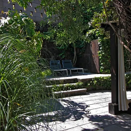 El Palomar, Oasis Secreto En El Norte De Tenerife 度假居 *