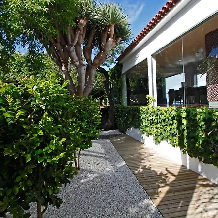 El Palomar, Oasis Secreto En El Norte De Tenerife