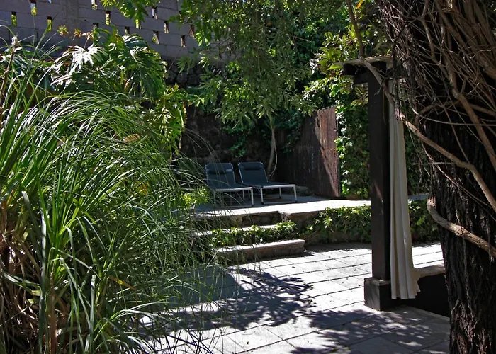 El Palomar, Secret Oasis In The North Of Tenerife Holiday home *